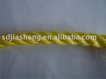 聚乙烯繩、聚丙烯繩及金屬絲繩制品 山東泰佳塑料制品廠的產品與制造概述